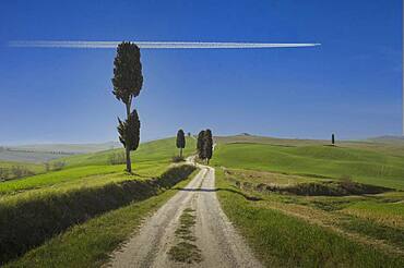 Italy, Tuscany, Val D'Orcia, Airplane flying over dirt road among cypresses