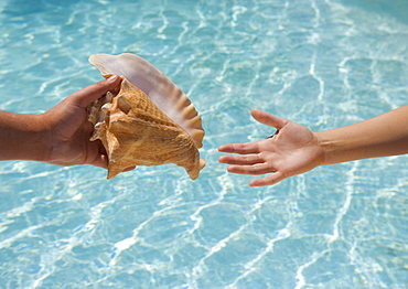 Giving conch shell to someone