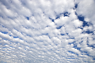 White clouds covering blue sky