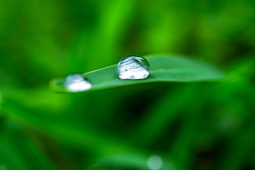 Close-up of water drops on grass