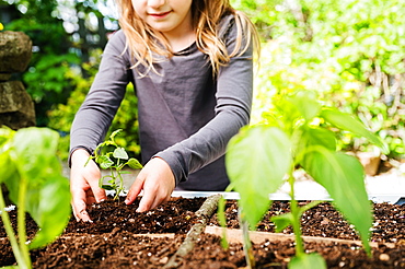 Smiling girl planting seedling