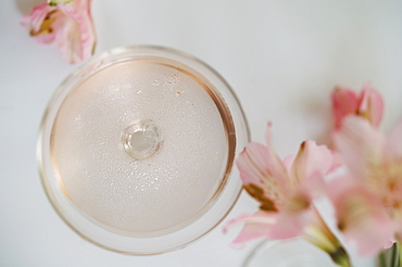 Sparkling rose wine in glass