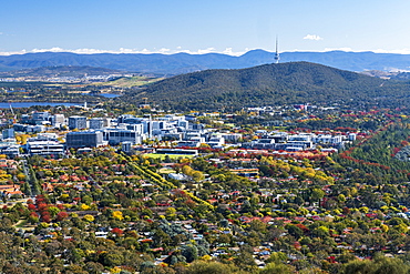 Australia, Australian Capital Territory, Canberra, Cityscape in green valley