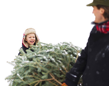 Father and son (6-7) carrying Christmas tree