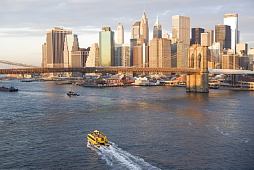 Cityscape and Brooklyn Bridge, New York City, New York