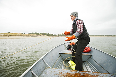 Man pulling net full of crabs, Rockaway Beach, Oregon