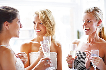 Bride and bridesmaids toasting and talking