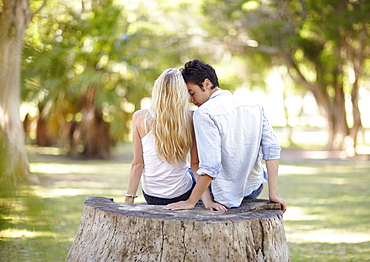 Couple sitting on tree stump