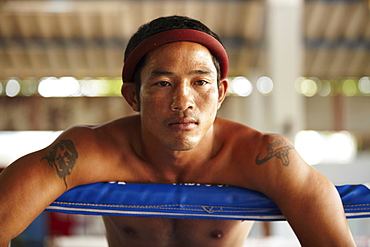 Portrait of mid adult male boxer