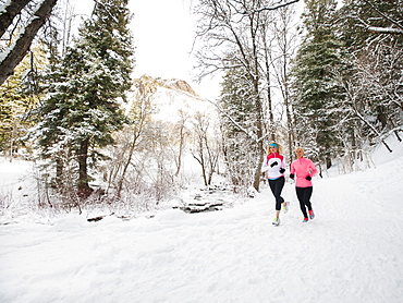 Two women jogging in winter forest, Salt Lake City, Utah USA