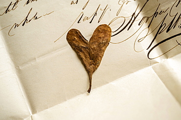 Dried heart shaped leaf on antique letter