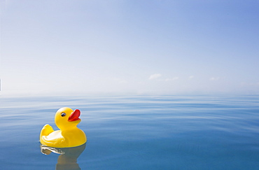 Rubber duck floating on calm water surface