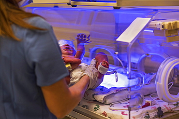 Nurse placing newborn baby girl (0-1 months) in incubator