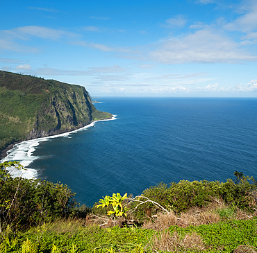 United States, Hawaii, Big Island, Wai Pio, Black sand beach with cliffs