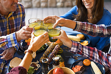 Family with children (10-11, 12-13, 16-17) raising toast with orange juice