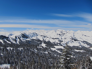 USA, Utah, Big Cottonwood Canyon, Winter landscape