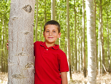 USA, Oregon, Boardman, Boy (8-9) standing between poplar trees in tree farm