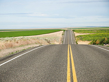 USA, Oregon, Boardman, Rolling landscape with empty road