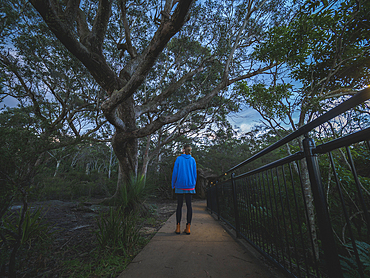 Rear view of woman standing on footpath and looking at trees