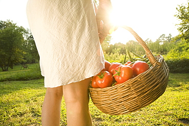 Woman holding basket of fresh tomatoes