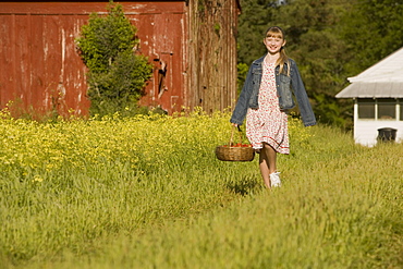 Girl picking strawberries