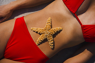 Starfish on womanâ€™s stomach, Florida, United States