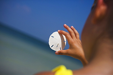 Child holding sand dollar, Florida, United States