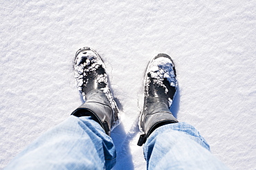 Close-up of human legs in snow