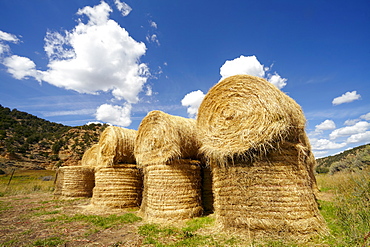 Idyllic scene of hay stacks on field, USA, Western Colorado