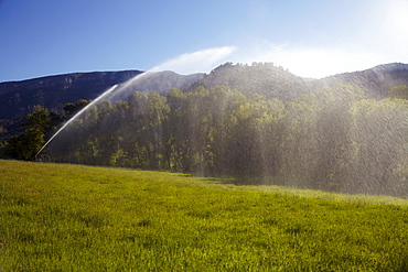 Agricultural sprinkler watering field, Colorado, United States