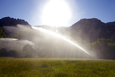 Agricultural sprinkler watering field, Colorado, United States