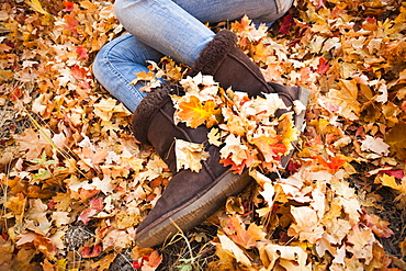 Legs of young woman lying on autumn leaves