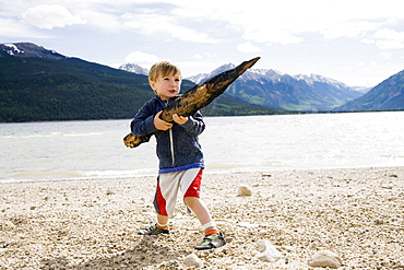 Boy (2-3) holding piece of wood, Colorado, USA