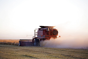 Combiner cutting barley, Colorado, USA