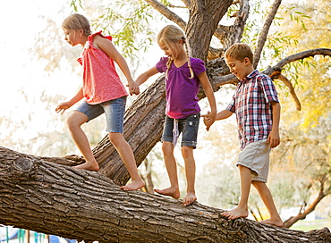 Three kids (4-5, 6-7) balancing on tree branch and walking together holding hands, Lehi, Utah