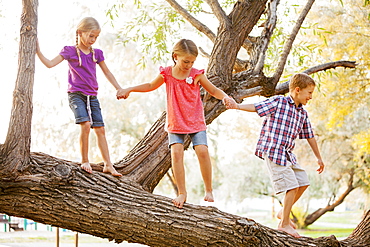 Three kids (4-5, 6-7) balancing on tree branch, Lehi, Utah