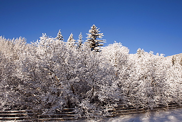 USA, Colorado, Winter landscape
