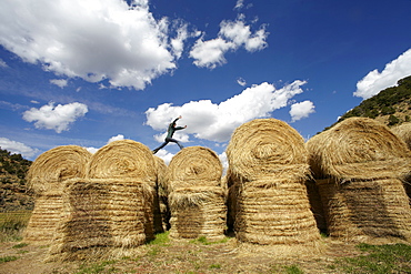 USA, Colorado, Woman jumping on haystacks