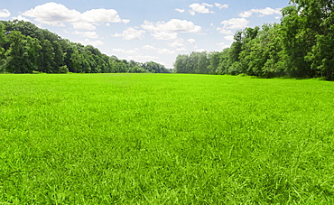 USA, Connecticut, Kent, green meadow