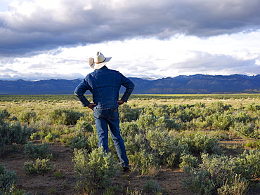 USA, Utah, Rear view of man standing in desert landscape
