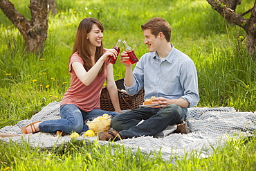 USA, Utah, Provo, Young couple toasting drinks during picnic