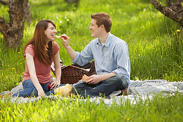 USA, Utah, Provo, Young couple having picnic in orchard