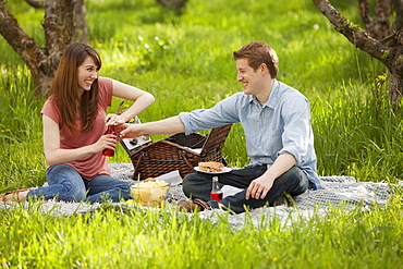 USA, Utah, Provo, Young couple having picnic in orchard