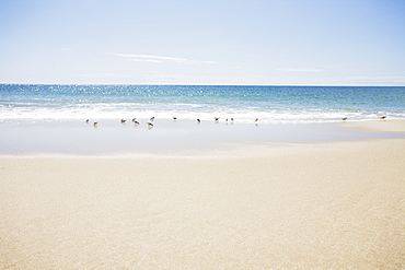 USA, Massachusetts, Empty beach 
