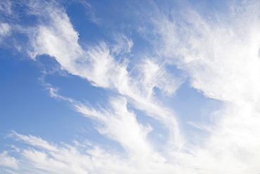 Cirrus clouds