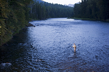 Canada, British Columbia, Fernie, Man fly fishing in river
