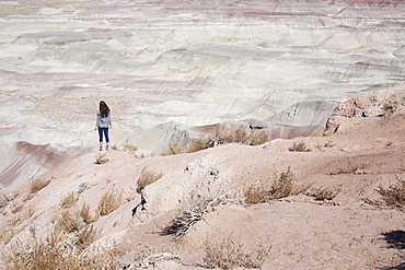 USA, Arizona, Painted Desert, Woman standing and looking at view