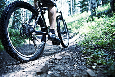 Man mountain biking in forest