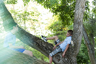 Two boys sitting in a tree