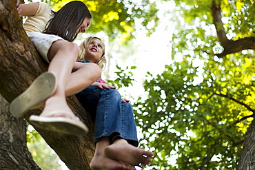 Two girls sitting in a tree